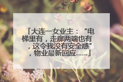大连一女业主：“电梯里有，走廊两端也有，这令我没有安全感”，物业最新回应……
